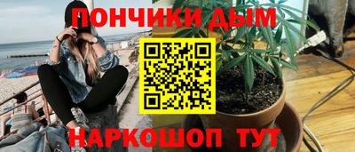 Альфа ПВП Дубна