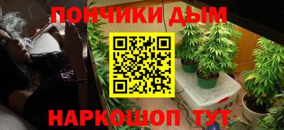 Альфа ПВП Дубна