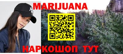 Альфа ПВП Дубна